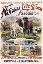 National Live Stock Association Convention