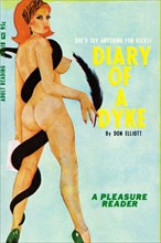 Diary of a Dyke