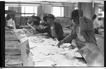 African-American Postal Employees Sort Mail