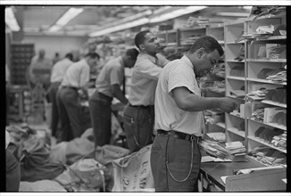 Postal Workers Sorting Mail