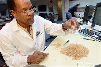 A U.S. Department of Agriculture (USDA) Grain Inspection