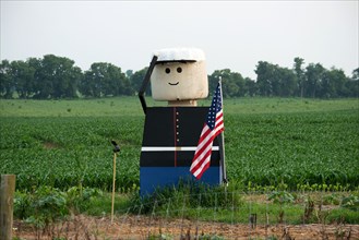 2015 - Larger than life patriotic figure stands on the edge of a farm field
