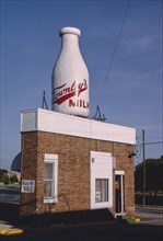 1990s United States -  Townley milk bottle