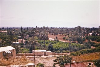 View of Jericho in the West Bank (1965)