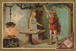 Picture Series Operas: Die Walküre