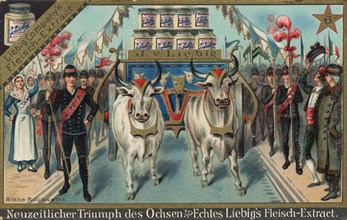 Series Of Pictures About The Oxen