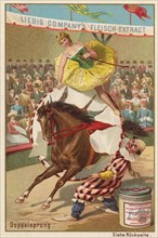 Series Horse Training In The Circus