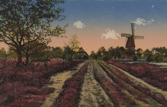 Landscape In The Lüneburg Heath With Heather And A Mill