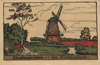 At The Mühlenbach In The Lüneburg Heath