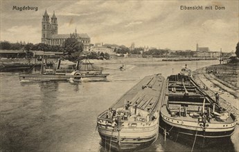 Elbe And Magdeburg Cathedral