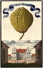 Cedro A Dittela And Wooden Shoe