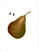 Brandywine Pear