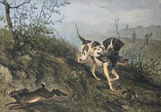 A Hound Carries A Pheasant While A Hare Runs Away