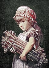 Girl With A Bunch Of Rhubarb Sticks
