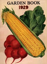 Corn and Radishes