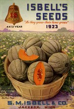 Melons on Catalogue