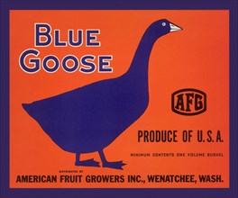 Blue Goose Label