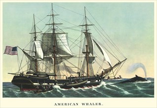 American Whaler