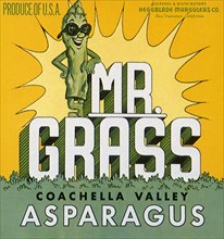 Asparagus Man