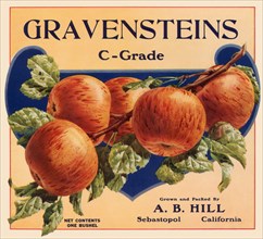Gravenstein Label
