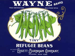 Tiny Refugee Beans