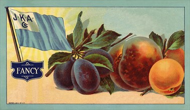 Apricot Fruit Label