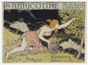 Woman Picking Apricots