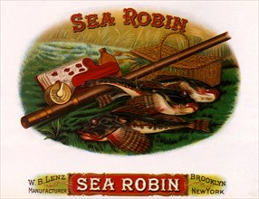 Sea Robin