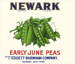 Early June Peas