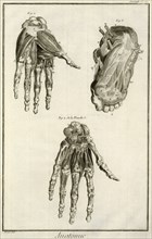 Hands and Foot