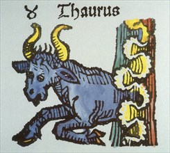 Taurus the Bull.