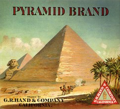 Pyramid Fruit Label.