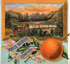 Orange Fruit Label.