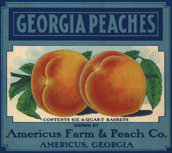 Georgia Peaches.