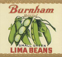 Lima Beans.