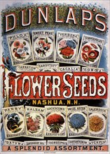 Dunlaps Flower Seeds.