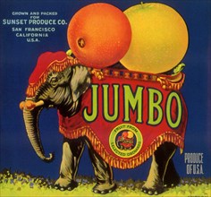 Elephant Fruit Label.
