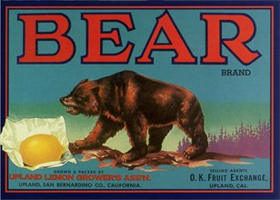 Bear Fruit Label.