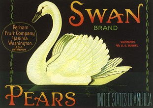 Swan Fruit Label.