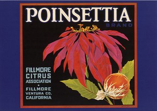 Poinsettia Fruit Label.
