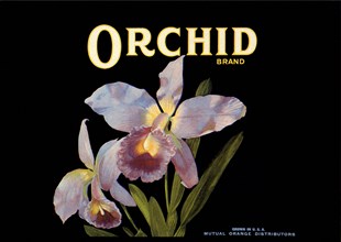 Orchid Fruit Label.
