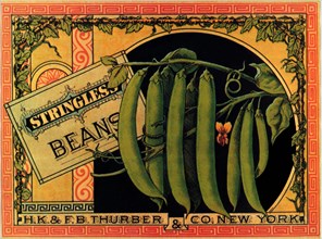 String Bean Label.