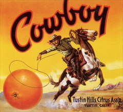 Cowboy Lassoing Orange.