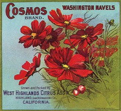 Red Flowers on Label.