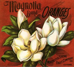 Magnolia Fruit Label.