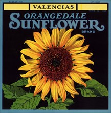 Sunflower Label.