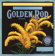 Golden Rod Label.