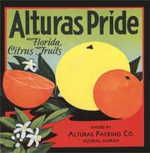 Citrus Fruit Label.