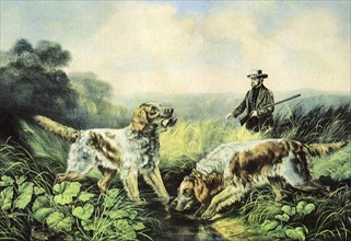 Hunting Dogs.