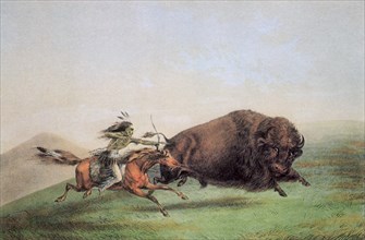 Fierce Buffalo Hunter.